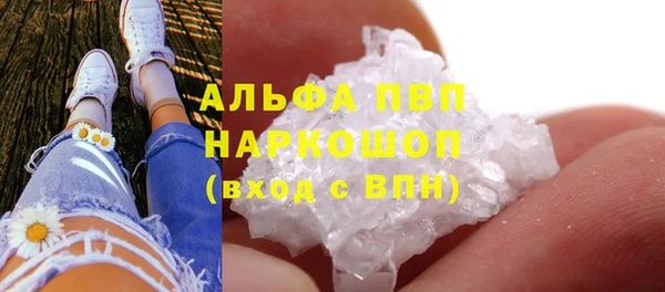 спиды Аркадак