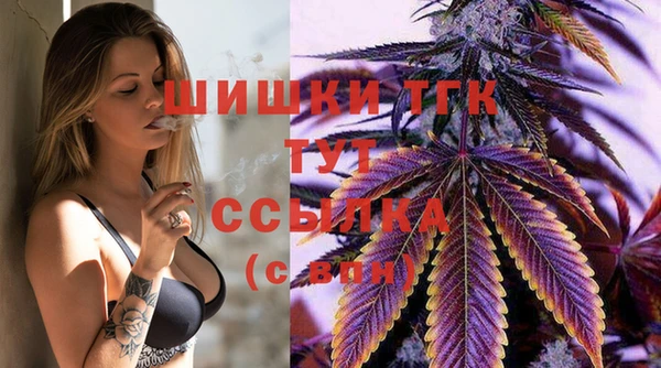 спиды Аркадак