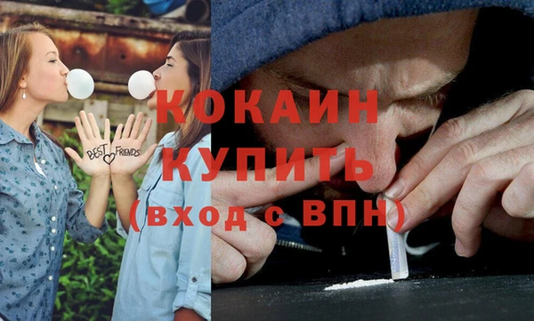 ГАЛЛЮЦИНОГЕННЫЕ ГРИБЫ Арсеньев