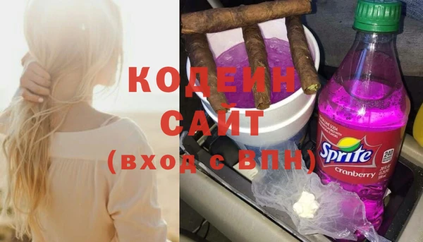 ГАЛЛЮЦИНОГЕННЫЕ ГРИБЫ Арсеньев