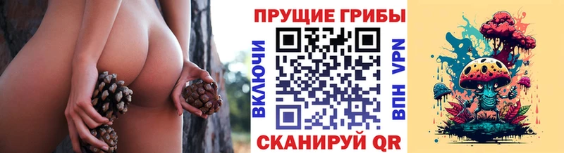 купить наркотик  Медынь  мега ссылка  Псилоцибиновые грибы Psilocybine cubensis 