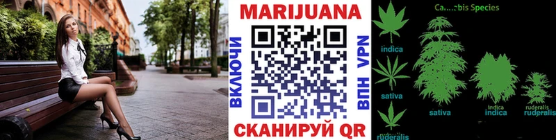 Канабис планчик  где купить   Медынь 